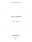 LAS DOS CARAS DE LA VERDAD