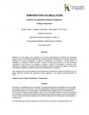 Temperatura de ebullicion