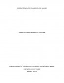 Ensayo sobre google y huawei