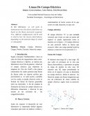 Lineas de campo eléctrico