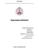 Apego inseguro ambivalente