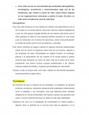 El impacto de las megatendencias