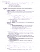 COMBUSTIBLE FOSIL