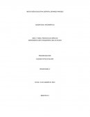 PROYECTO DE IMPACTO EXPERIMENTO ANTI-FRAGMENTO CON UN HUEVO