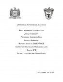 Impacto Ambiental . Reporte Visita al SIMEPRODE