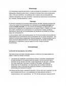 Neuropatología La función de las placas y los ovillos