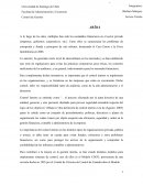 Control interno, aplicación en la empresa