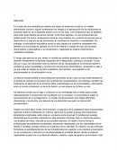 El Educador Social; Etica y Practica Profesional