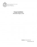 Modalidad Reggio Emilia: la respuesta a cómo lograr libertad, compañerismo e igualdad en una sociedad heterogénea