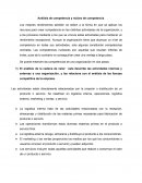 Análisis de competencia y núcleo de competencia