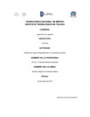Reporte de Hoja de Seguridad de un Compuesto Químico