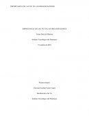 IMPORTANCIA DE LAS TIC EN LAS ORGANIZACIONES