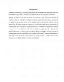 Proyecto de Acción. Guatemala visualizada en 20 años