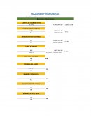 RAZONES FINANCIERAS .FODA