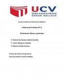 Informe de Práctica Nº 3: Fenómenos físicos y químicos