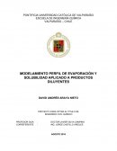 MODELAMIENTO PERFIL DE EVAPORACIÓN Y SOLUBILIDAD APLICADO A PRODUCTOS DILUYENTES
