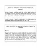 DEMOGRAFÍA EMPRESARIAL EN EL EMPORIO COMERCIAL DE GAMARRA