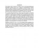 Almacenes del Muro S.A. de C.V