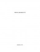 Informe Laboratorio N°3 Muestra de pulmón