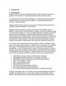 Segmentacion Kimberly-Clark