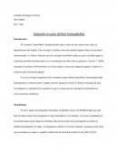 Sustantivos para definir homophobia