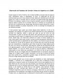 Observación del fenomeno del Corredor Urbano de Argentina en la CDMX