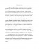 La Ergonomía o Ingeniería de los Factores Humanos