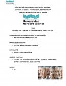 PROCESO DE ATENCIÓN DE ENFERMERÍA EN ADULTO MAYOR