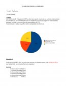 CLASIFICACION DE LA VARIABLE