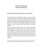 ENSAYO PLAN DE MARKETING ESTRATEGIAS COMERCIALES