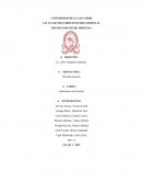 Síntesis de la Segunda Declaración de la Habana