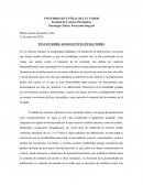 Ensayo sobre adolescentes infractores