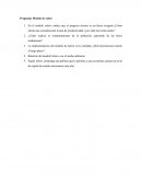 Preguntas Modelo de solow