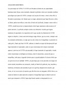 Analisis martires y la vida en rosa