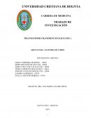 TRAUMATISMO CRANEOENCEFALICO (TEC)