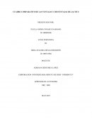 CUADRO COMPARATIVO DE LAS VENTAJAS Y DESVENTAJAS DE LAS TICS