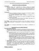 CONCEPTOS DE REFLEJO NERVIOSO