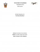 Actividad integradora No.1. “Corrientes filosóficas.”