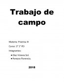 Trabajo de campo Materia: Práctica III