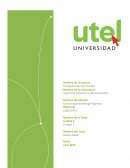 COMPETENCIAS GERENCIALES