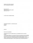 NOTICIA DE SOLIDARIDAD INCREMENTAN APOYOS HUMANITARIOS A LOS DAMNIFICADOS DE VICHADA Y GUAINIA