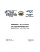 DESARROLLO NEUROLOGICO PERCEPTIVO Y PSICOLOGICO