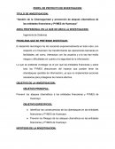 Gestión de la ciberseguridad y prevención de ataques cibernéticos de las entidades financieras y PYMES de Huancayo