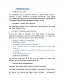 Los Primeros Auxilios