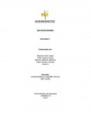MACROECONOMÍA Actividad 2