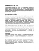 MICROORGANISMOS MARINOS