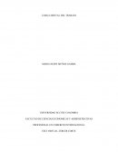 SEGURIDAD Y SALUD EN EL TRABAJO