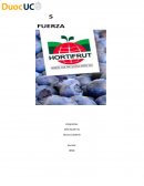 Trabajo de diseño y planes estrategicos