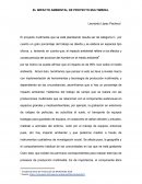 EL IMPACTO AMBIENTAL DE PROYECTO MULTIMEDIA