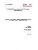 REGISTRO DE INFORMACIÓN PARA EL CONTROL ADMINISTRATIVO DEL CONSEJO COMUNAL BARRIO LAS DELICIAS